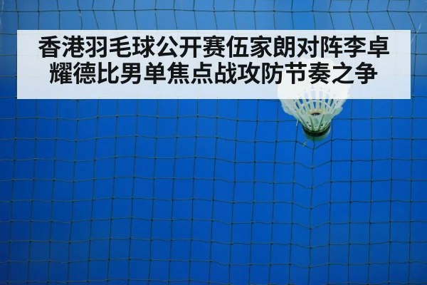 badminton net shot